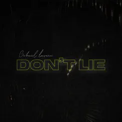 Don't Lie - Single by Gabriel Lavern album reviews, ratings, credits
