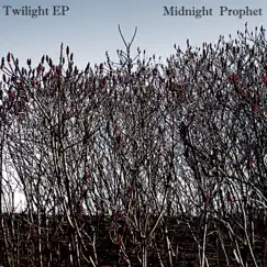 Twilight - EP by Midnight Prophet album reviews, ratings, credits