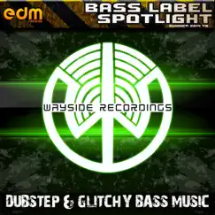 Wayside Recordings - Dubstep & Glitchy Bass Music Summer 2014 v.8 Bass Label Spotlight - EP by Various Artists album reviews, ratings, credits