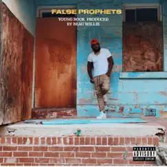 False Prophets - Single by Young Rook album reviews, ratings, credits