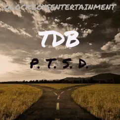 Ptsd - Single by TDB album reviews, ratings, credits