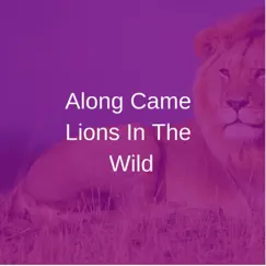 Along Came Lions In the Wild - Single by Teeko album reviews, ratings, credits