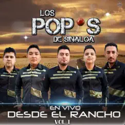 Desde El Rancho, Vol. I by Los Popis De Sinaloa album reviews, ratings, credits