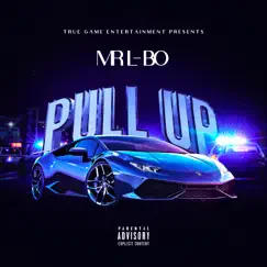 Pull Up - Single by Mr L-Bo album reviews, ratings, credits
