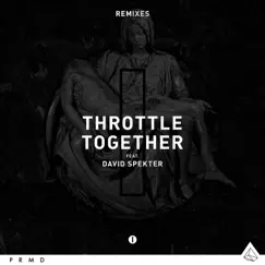 Together (feat. David Spekter) [Remixes] - EP by Throttle album reviews, ratings, credits