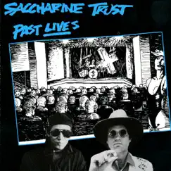 Past Lives by Saccharine Trust album reviews, ratings, credits