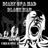 Diary of a Mad Black Man (Acoustic Version) - Single album lyrics, reviews, download