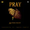 Pray - Single album lyrics, reviews, download