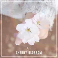 Cherry Blossom - Single by BUM JICK album reviews, ratings, credits