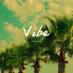 Vibe - Single by Andrew album reviews, ratings, credits