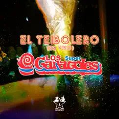 El Teibolero (En Vivo) Song Lyrics