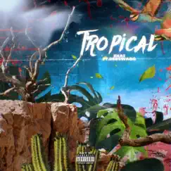 Tropical (feat. Deeswagg) - Single by Zkai album reviews, ratings, credits