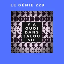 Y A QUOI DANS JALOUSIE - Single by Le Génie 229 album reviews, ratings, credits
