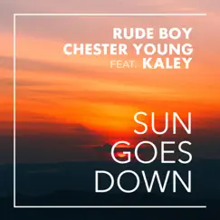 Sun Goes Down (feat. Kaley) - Single by Rude Boy & Chester Young album reviews, ratings, credits