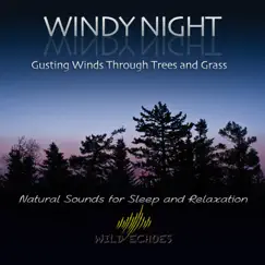 Windy Night - Gusting Winds Through Trees and Grass by Wild Echoes album reviews, ratings, credits