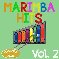 Succession (Theme) [Marimba Remix] Song Lyrics
