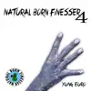 Natural Born Finesser 4 album lyrics, reviews, download