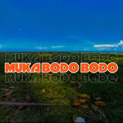 Muka Bodo Bodo - Single by Mr mitte album reviews, ratings, credits