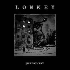 Lowkey - Single by Pranav.wav album reviews, ratings, credits