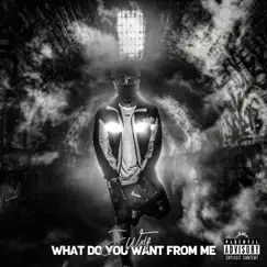 What Do You Want from Me - Single by J Wxlf album reviews, ratings, credits