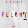 Felony - Single album lyrics, reviews, download