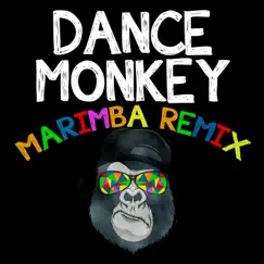 Dance Monkey (Marimba Remix) Song Lyrics