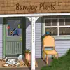 Bamboo Plants (Acoustic) - Single album lyrics, reviews, download