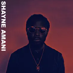 Smiley Face - Single by Shayne Amani album reviews, ratings, credits