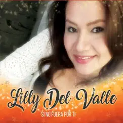 Si No Fuera Por Ti by Lilly Del Valle album reviews, ratings, credits