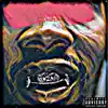 Gold Front Fang$ (feat. Nowaah the Flood) - Single album lyrics, reviews, download