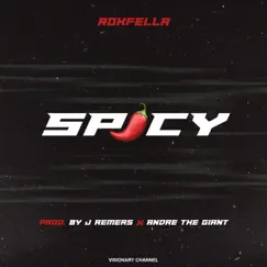 Spicy - Single by Rokfella album reviews, ratings, credits