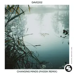 Changing Minds (PASSIK Remix Edit) - Single by Dave202 album reviews, ratings, credits