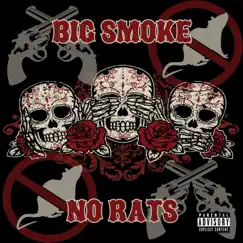 No Rats Song Lyrics