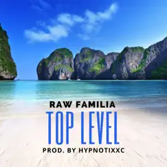 Top Level (feat. Money Martino & Robby Revenue) Song Lyrics