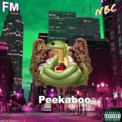 Peekaboo Song Lyrics