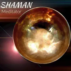 Meditator - Single by Shaman album reviews, ratings, credits