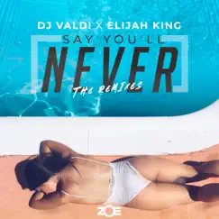 Say You'll Never (REMIXES) - Single by DJ Valdi & Elijah King album reviews, ratings, credits
