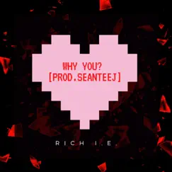 Why You - Single by Rich I.E. album reviews, ratings, credits