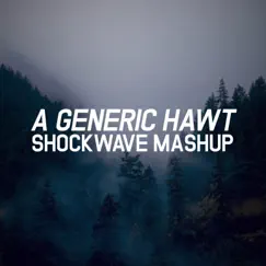 A Generic Hawt (Mashup) - Single by Shockwave album reviews, ratings, credits