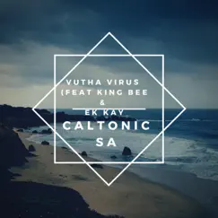 Vutha Virus (feat. King Bee & Ek Kay) - Single by Caltonic SA album reviews, ratings, credits
