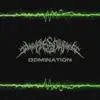 Domination (feat. Planetkiller, Hate Priest, Slaughter the False Prophet, The White Bear Project & Litterbox Massacre) - Single album lyrics, reviews, download