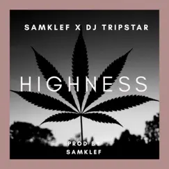 Highness - Single by Samklef album reviews, ratings, credits