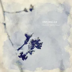 Chrysalis - Single by Jacob LaVallee album reviews, ratings, credits