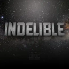 Indelible by Indelible album reviews, ratings, credits