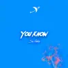 You Know (feat. Aión) - Single album lyrics, reviews, download
