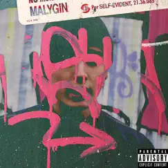 Self-Evident by Malygin album reviews, ratings, credits