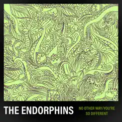 No Other Way / You're So Different - Single by The Endorphins album reviews, ratings, credits