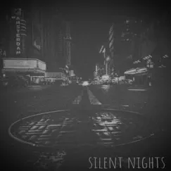 Silent Nights - Single by The Sounds Of James album reviews, ratings, credits