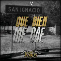 Que Bien Me Cae - Single by Los K-Bros album reviews, ratings, credits