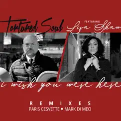 I Wish You Were Here (feat. Lisa Shaw) [Remixes] by Tortured Soul album reviews, ratings, credits